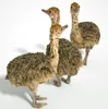 /product-detail/healthy-ostrich-chicks-fertile-hatching-ostrich-eggs-62005129272.html