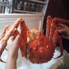 Wholesale Frozen King Crabs / Live King Crab / King Crab Legs from Brazil