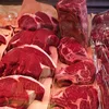 /product-detail/halal-fresh-lamb-frozen-meat-of-beef-cow-62004421358.html