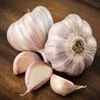 /product-detail/best-quality-fresh-white-garlic-62004845690.html