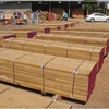 teak wood at reasonable price for importers