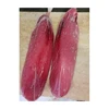 High Quality Loin Yellow Fin Tuna Fish From Indonesia