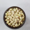 /product-detail/2018-argentina-bold-peanuts-50-60-price-of-peanut-seed-6070-peanut-kernels-62004668043.html