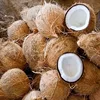 Coconut Wholesalers