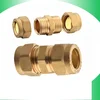 Brass PPR/ CPVC/ UPVC insert pipe fitting