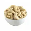 /product-detail/dried-style-and-raw-processing-kind-cashew-nut-kernel-62004210266.html