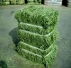 /product-detail/top-quality-hays-alfalfa-hay-timothy-hay-62004793399.html
