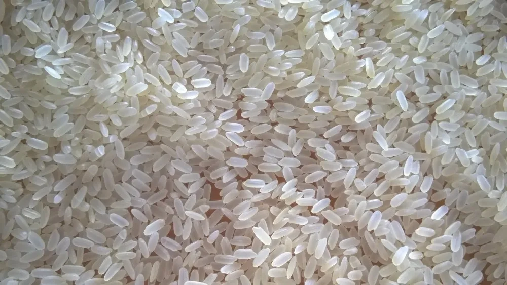 ir 8 parboiled rice.jpg