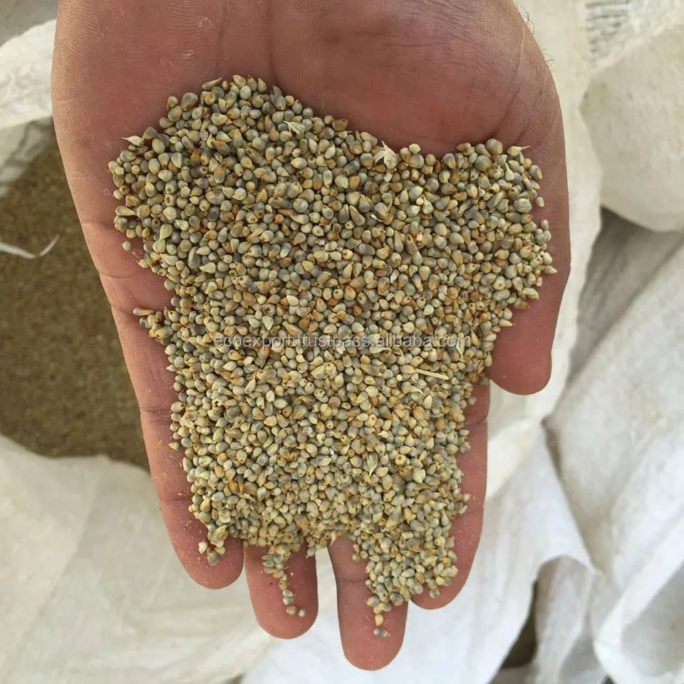 sortex green millet manufacturer/trader/suppliers/exporters