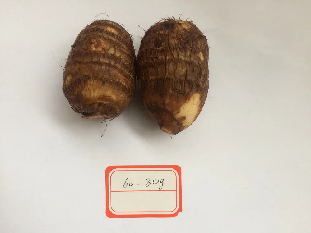 New Arrival China Fresh Taro Low Price High Quality
