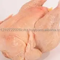 GRADE A BRAZILIAN HALAL FROZEN WHOLE