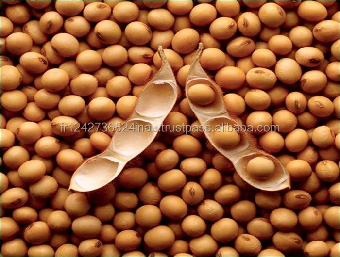 High quality soya bean for oil , soybean , Soybean Seeds with reasonable price
