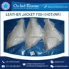 Best Frozen Whole Round Leather Jacket Fish at Best Price