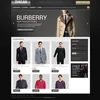 Hot Sale On Alibaba Website Design & Development for Fashion Garments with SEO