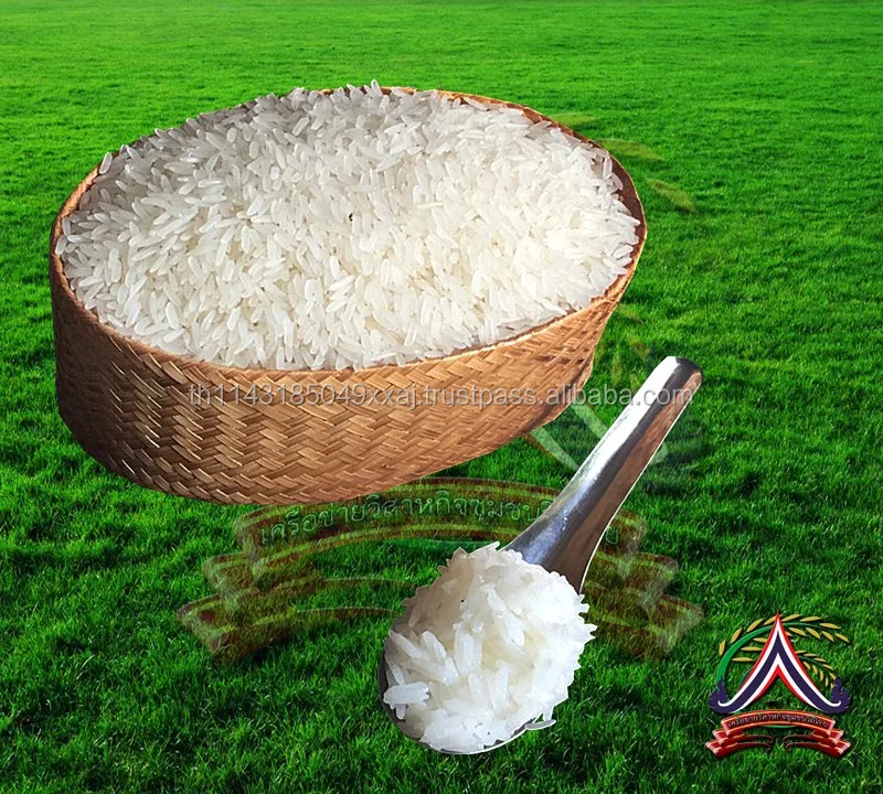 High quality premium grade thai jasmine rice 105 thai hom mali rice , factory rice suppliers in thailand