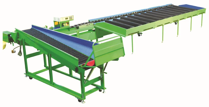 Fruit Sorting Machine