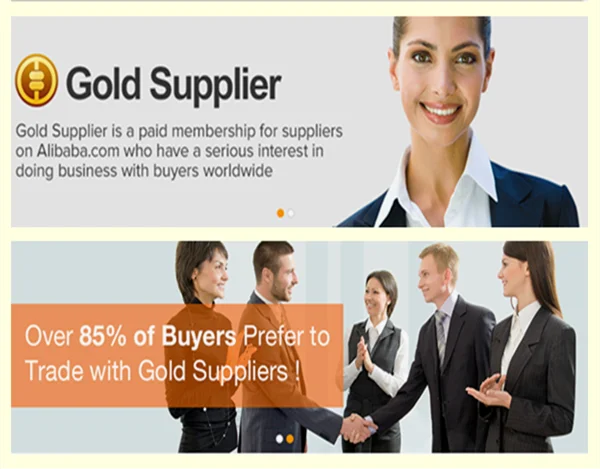 Gold Supplier.png