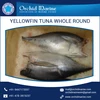Amazing Taste Highly Pure Yellowfin Tuna Prices from Manufacturer
