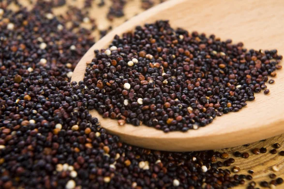 High quality common black quinoa, cereal grain