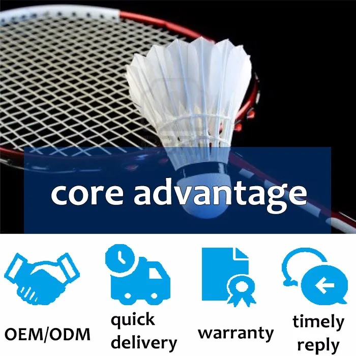 core advantage.jpg