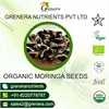 /product-detail/food-supplement-moringa-seed-distributor-in-india-140689999.html