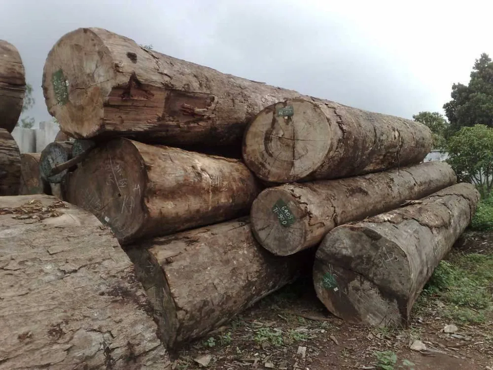 Round Keruing Logs