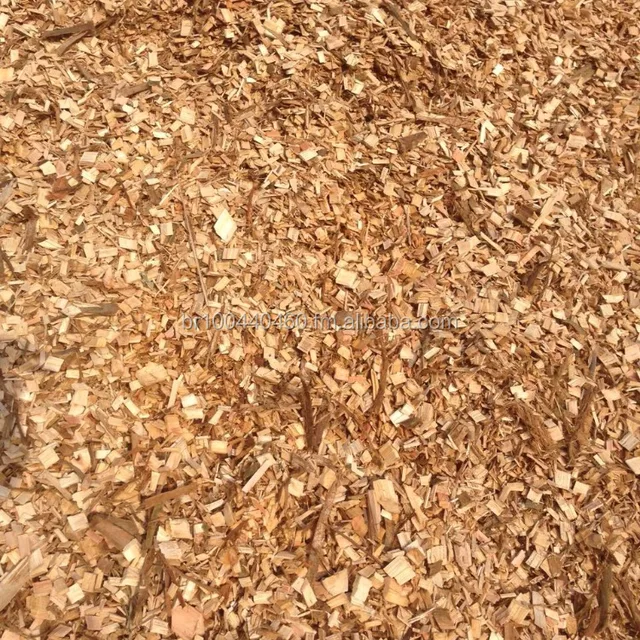 eucalyptus wood chips for making pulp and biomass fuel