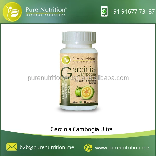 Garcinia Cambogia Prices from Well Known Exporter