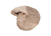 frozen pork STOMACH