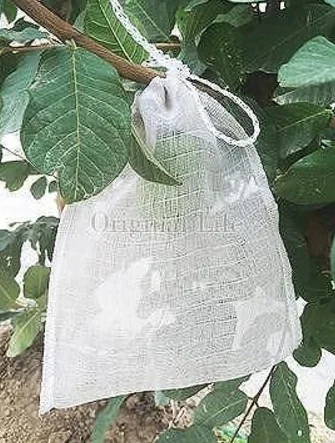 *Two-Side Rope(convenient to tip)*Fruit Bagging/PE 45 mesh(1200 mesh) Grow Bag/ Non-consumable Bagging Fruit and Vegetable / Av