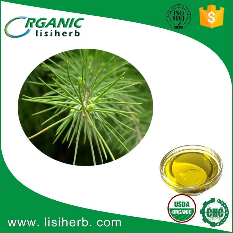 top grade natural & pure pine needle oil