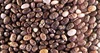 /product-detail/chia-seeds-for-sale-in-india-171763448.html