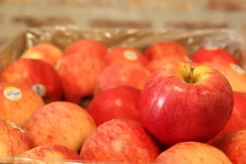 Fairtrade Apples