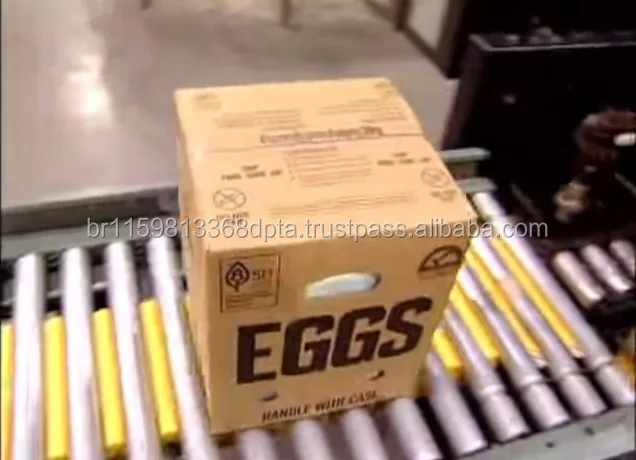 FARM FRESH CHICKEN TABLE EGGS, BROWN SHELL CHICKEN EGGS,WHITE SHELL CHICKEN EGGS