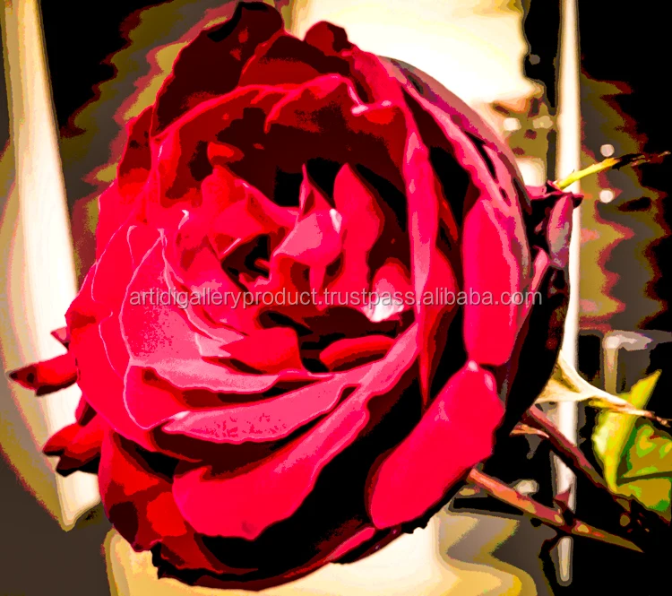 australia canvas prints gallery