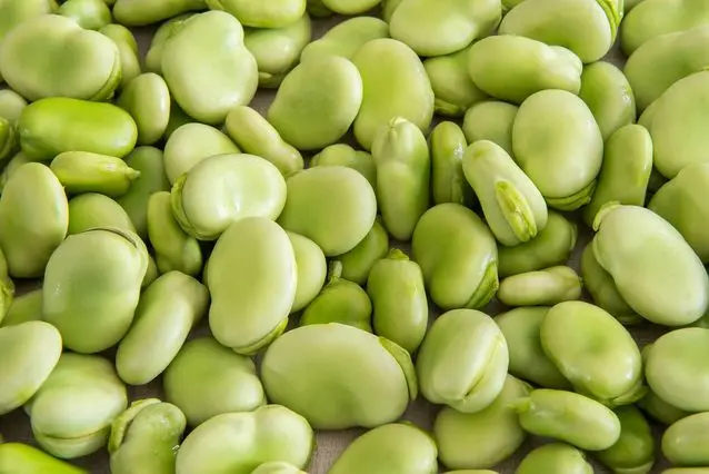 dried green lima beans