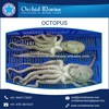 /product-detail/big-octopus-110293726.html
