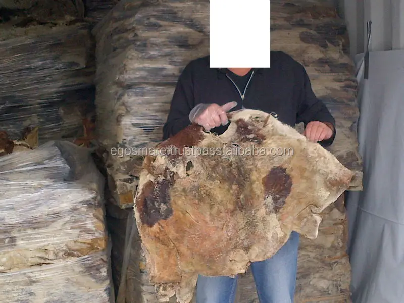 Salted Cow Head Skin Buy Wet Salted Cow Head Skins Product on