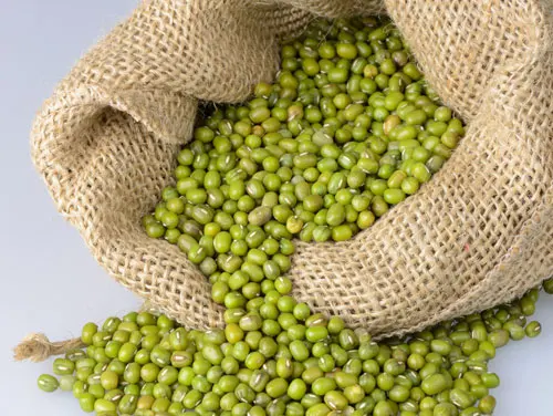 Green Mung Beans/Yellow split lentils/Green Gram /Moong Dal