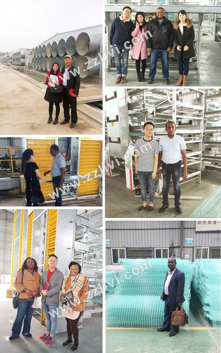 Customers visiting poultry layer farming equipment