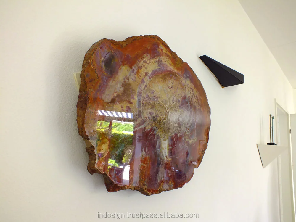 Arizona versteinertes holz Scheiben für die Dekoration oder tisch Couchtisch Versteinertes Holz ~ Arizona versteinertes holz Scheiben für die Dekoration oder tisch