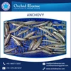 Best Seafood Dried Anchovy at Reasonable Rate