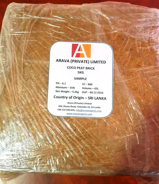 cocopeat is a very good alternative to traditional peat moss and