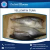 Fresh and Healthy Yellowfin Tuna with High Shelf Life at Attractive Prices