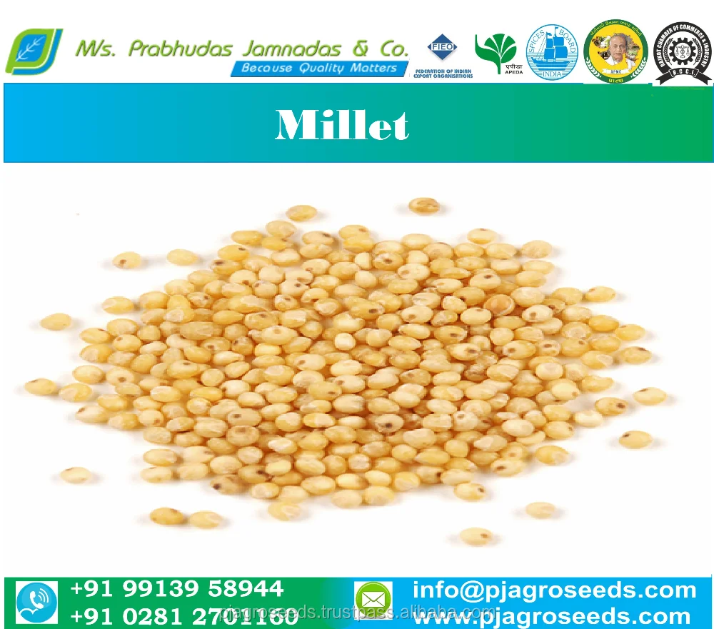 glutinous millet