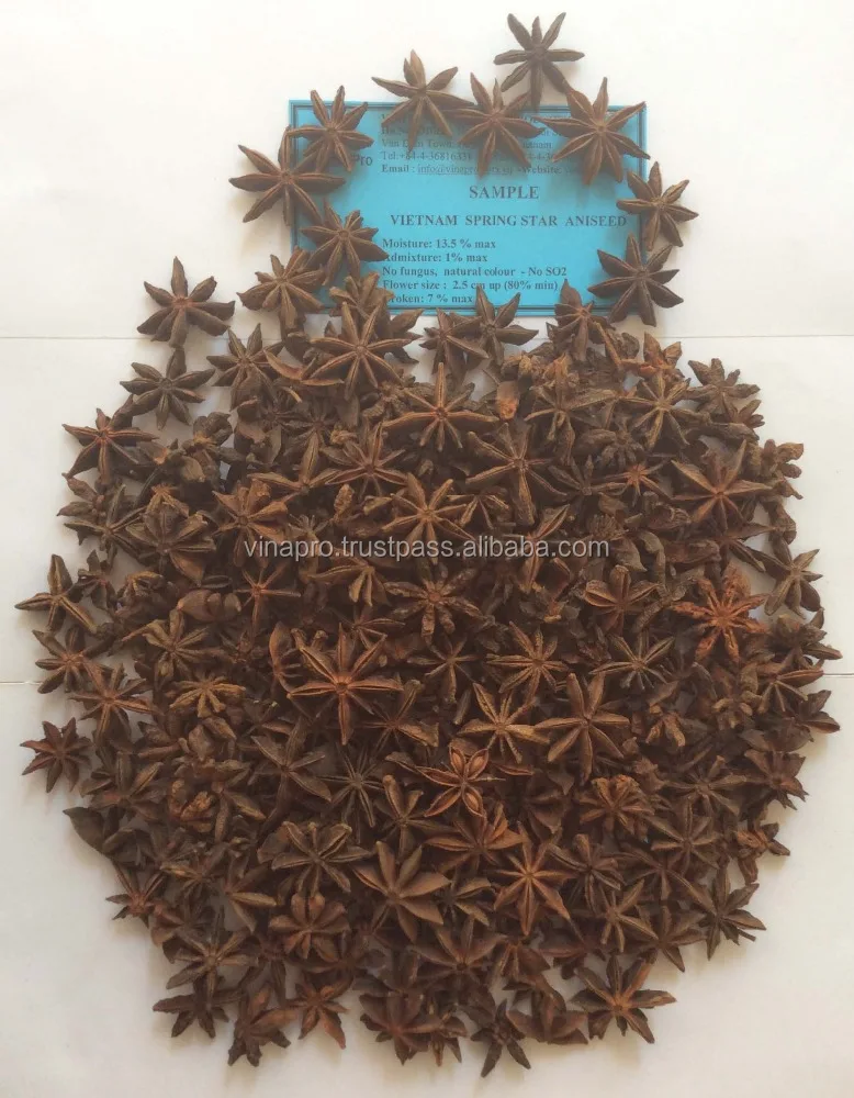 VIETNAM SPRING STAR ANISEED GOOD QUALITY AND COMPETITIVE PRICE FROM VIETNAM