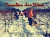 Best Ice Wines from Canada
