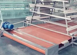 Chicken layer cage manure removal system