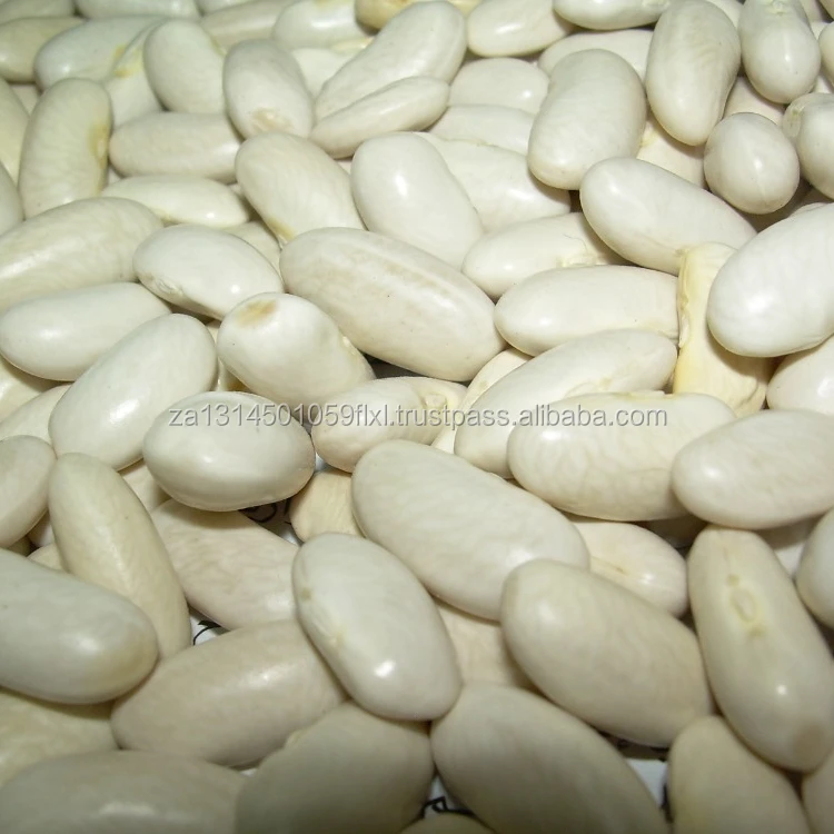 2017 wholesale high quality white kidney bean