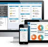 Professional e-commerce website development